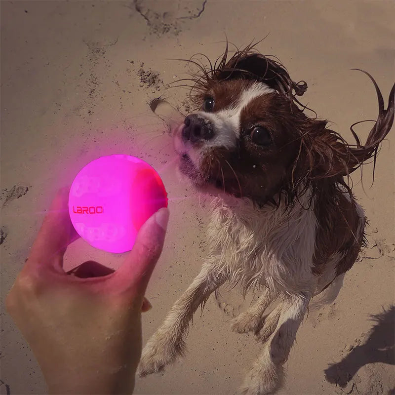 LAROO Intelligent Luminous Ball