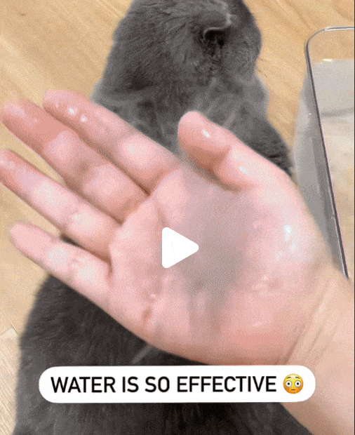 Meet the FurWhirl™ Spiral Brush – Massage