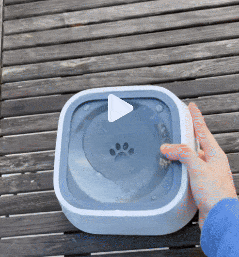 1.5L Dog and cat ABS Plastic Drinking Water Floating Bowl