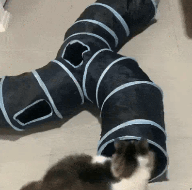 Holes Cat Tunnel Tube Funny Kitten Toys Foldable Toys For Cat I