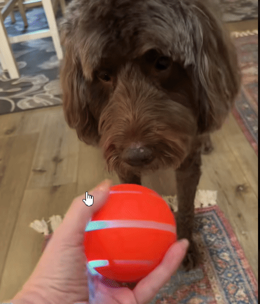 1 Interactive Pet Ball. Automatic LED Flashing Motion Toy, Perfect for Playtime