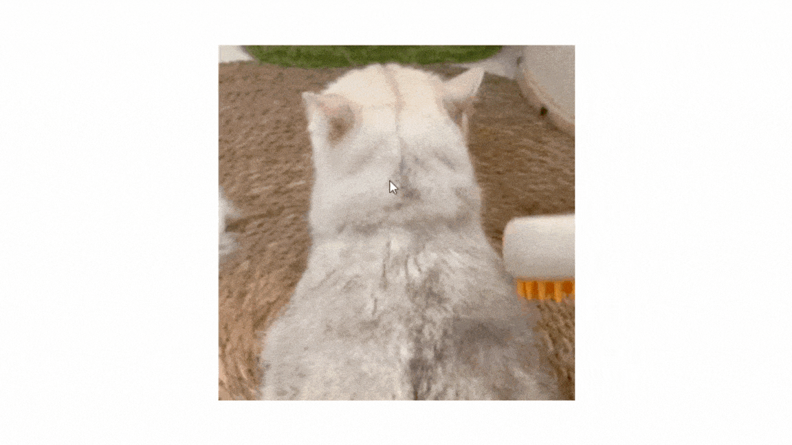 Smart Pet Hair Remover Brush