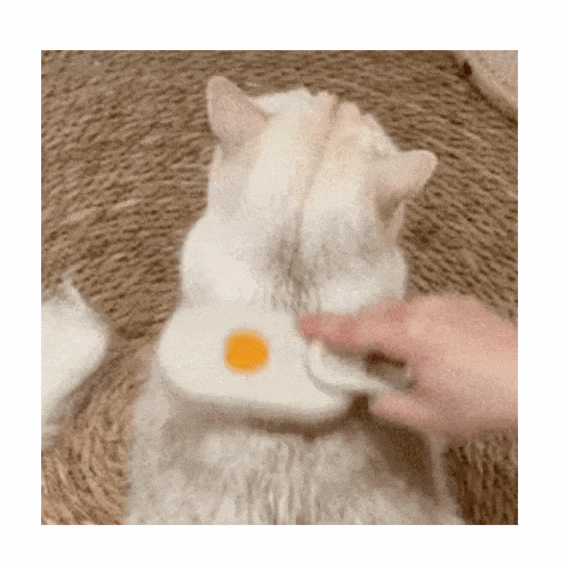 Smart Pet Hair Remover Brush