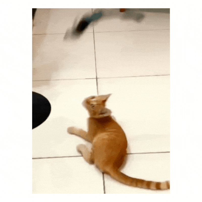 Flying Bird Toy