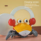 Happy Walking Crab