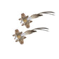 Flying Bird Toy