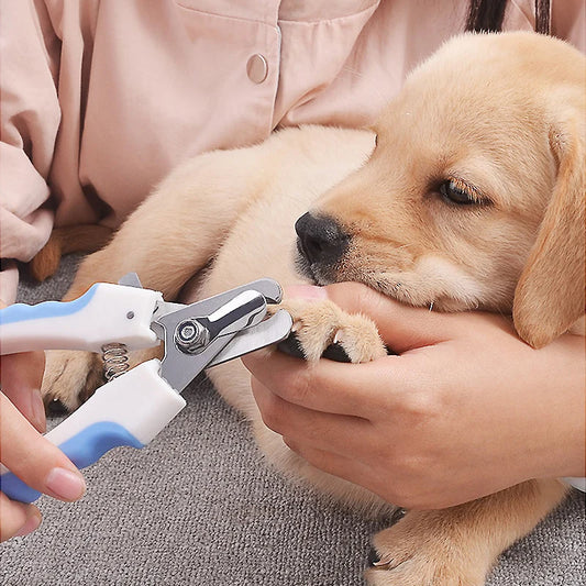 PawCare Clipper