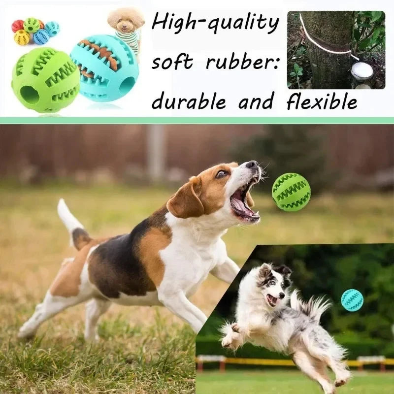 TreatTastic Ball – Play, Chew, Repeat!
