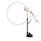 Flying Bird Toy