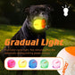 LAROO Intelligent Luminous Ball