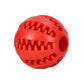 TreatTastic Ball – Play, Chew, Repeat!