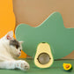 Natural Catnip Healthy
