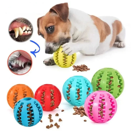 TreatTastic Ball – Play, Chew, Repeat!