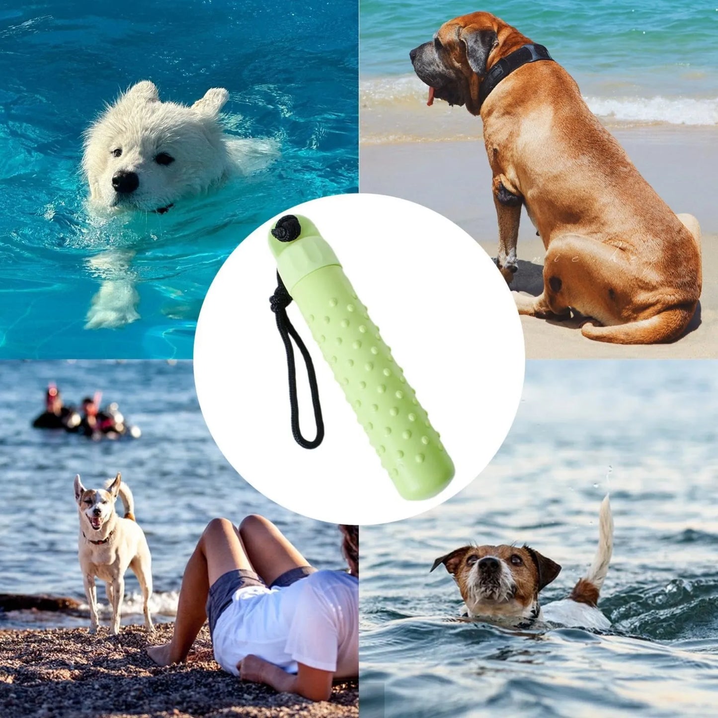 Floating Dog Fetch & Chew Toy – Water-Resistant Training Bumper