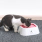 1.5L Dog and cat ABS Plastic Drinking Water Floating Bowl