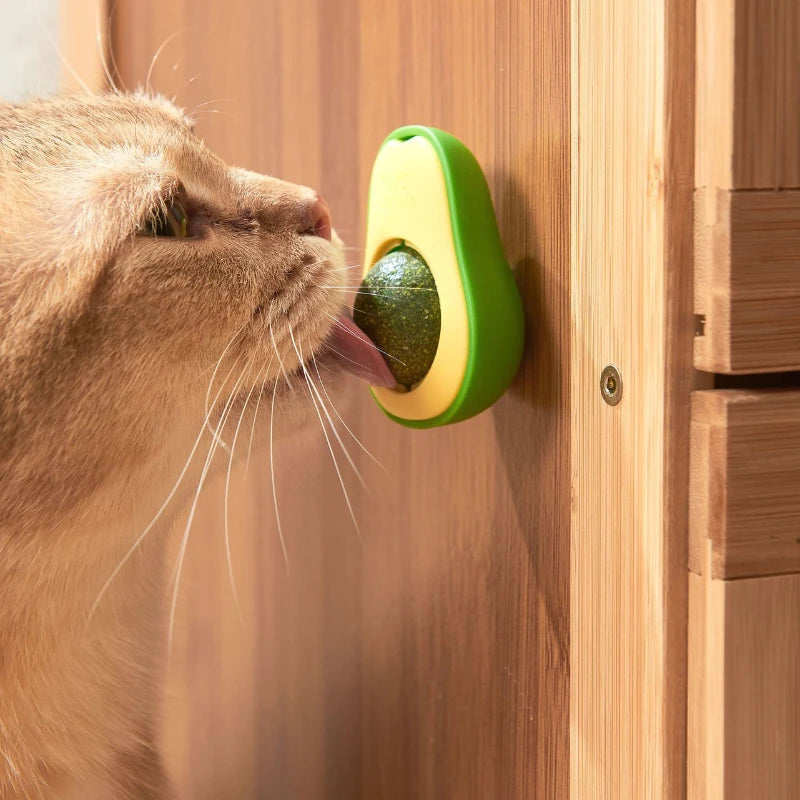Natural Catnip Healthy