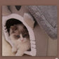 Mansion Woof &amp; Meow – The Fluffiest Home Away From Home