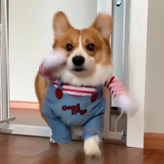 Chucky Dog Halloween Costume Fashion Funny