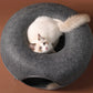 Cozy Cat Pod Duo – Lounge & Hideout in One!