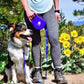4 In 1 Retractable Kettle Dog Leash
