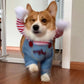 Chucky Dog Halloween Costume Fashion Funny