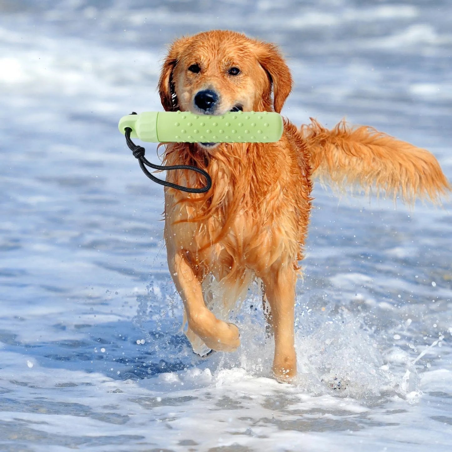 Floating Dog Fetch & Chew Toy – Water-Resistant Training Bumper