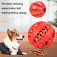 TreatTastic Ball – Play, Chew, Repeat!