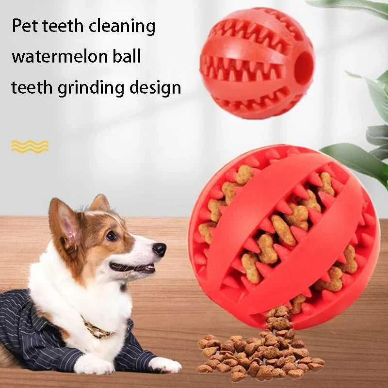 TreatTastic Ball – Play, Chew, Repeat!