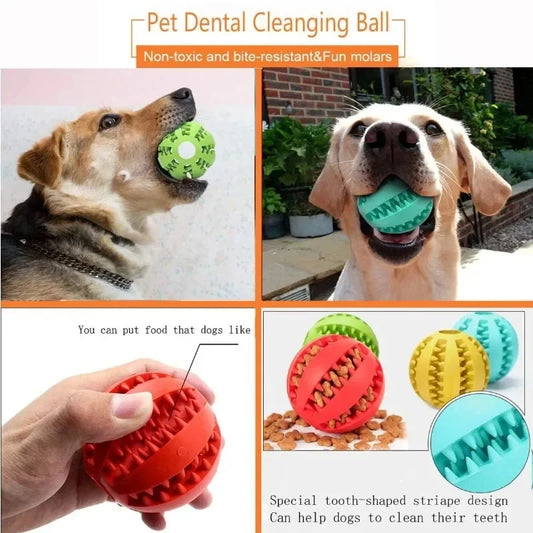 TreatTastic Ball – Play, Chew, Repeat!
