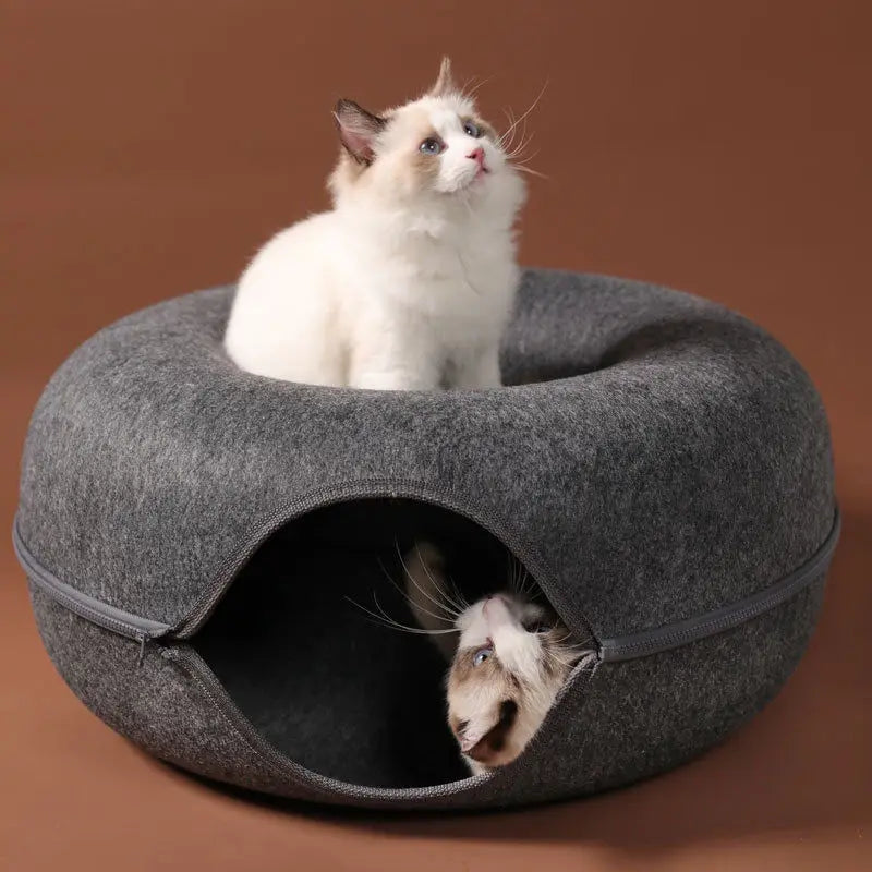 Cozy Cat Pod Duo – Lounge & Hideout in One!