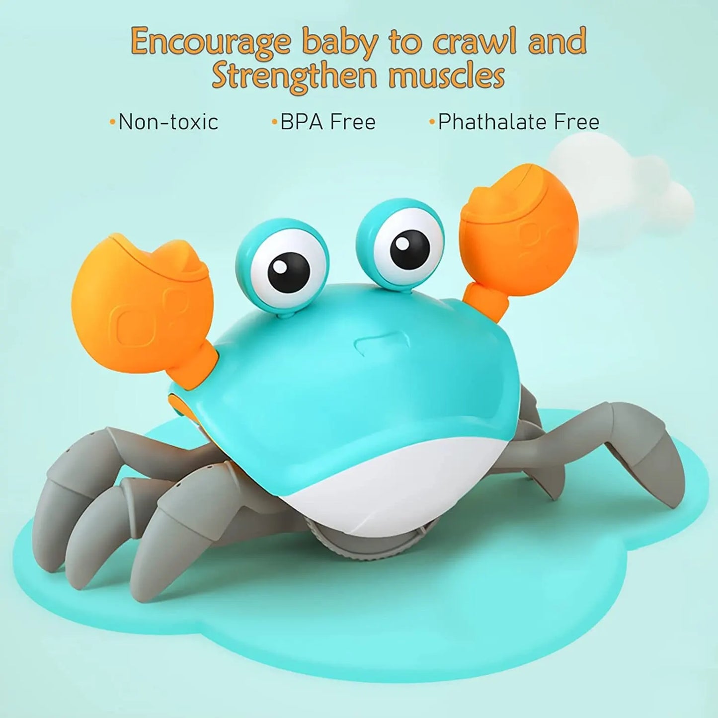 Happy Walking Crab