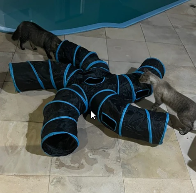 Holes Cat Tunnel Tube Funny Kitten Toys Foldable Toys For Cat I