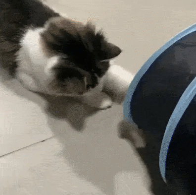Holes Cat Tunnel Tube Funny Kitten Toys Foldable Toys For Cat I
