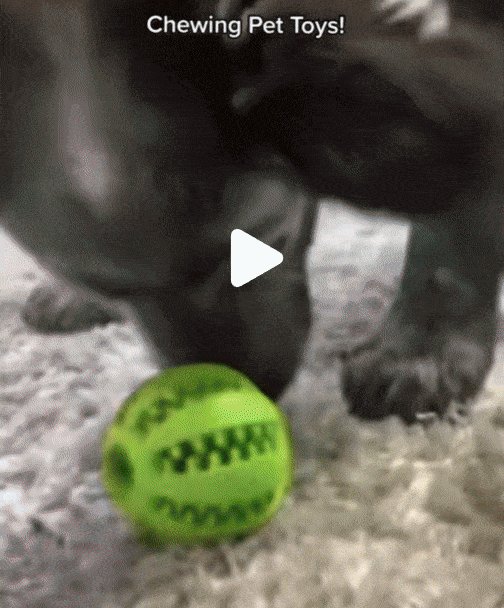 TreatTastic Ball – Play, Chew, Repeat!