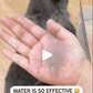 Meet the FurWhirl™ Spiral Brush – Massage
