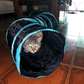 Holes Cat Tunnel Tube Funny Kitten Toys Foldable Toys For Cat I