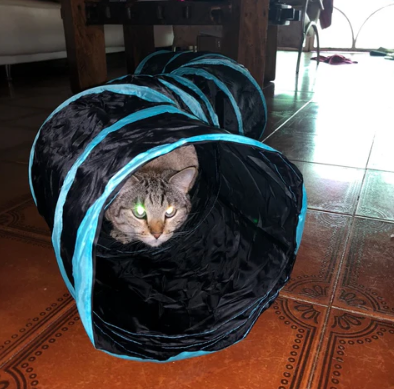 Holes Cat Tunnel Tube Funny Kitten Toys Foldable Toys For Cat I