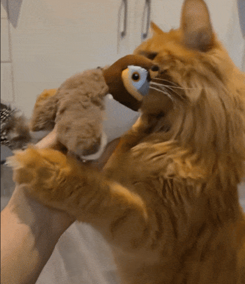 Flying Bird Cat Toy Interactive Cat