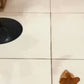 Flying Bird Toy